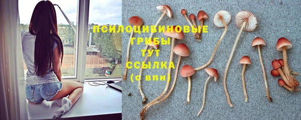 герыч Алексин