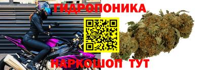 кокс Будённовск
