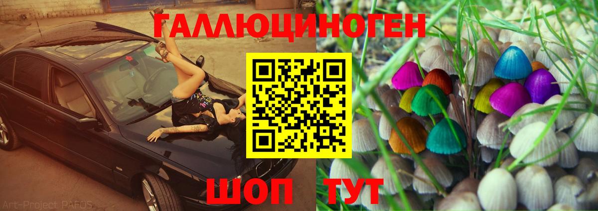 Псилоцибиновые грибы Psilocybe Асбест